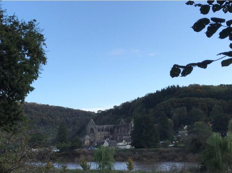 Woodmill Farm Cottage Alvington 外观 照片
