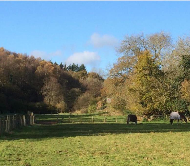 Woodmill Farm Cottage Alvington 外观 照片