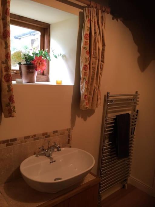 Woodmill Farm Cottage Alvington 外观 照片