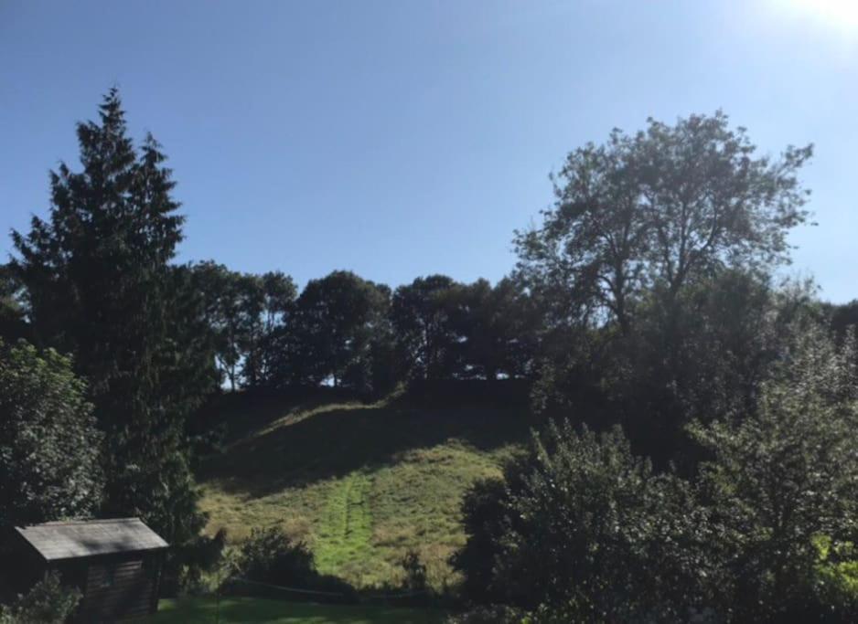 Woodmill Farm Cottage Alvington 外观 照片