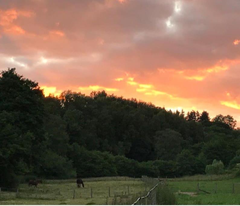Woodmill Farm Cottage Alvington 外观 照片