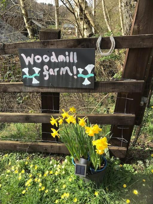 Woodmill Farm Cottage Alvington 外观 照片